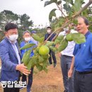 이선호농장 이미지