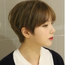 쁨쁨