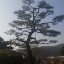 건달산로 이미지