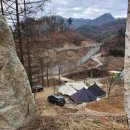 강원도 캠핑장 추천 홍천 알지캠프266 솔직 후기