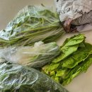 청암농장 이미지