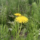 선촌1리 경로당 이미지