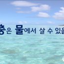 봉황초교병설유치원 이미지