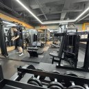 더 프리미엄 복싱 이미지