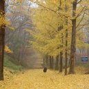 하반기 타박타박 인천 이미지