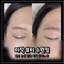 펫뷰티샵 페이보릿 | 수원 인계동 미작 뷰티 붉은 눈썹 잔흔제거 솔직 후기