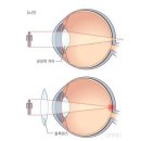 안경나라신창점 이미지