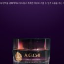 피누스스토어온새미로 이미지