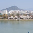 공지천분수대 네이버블로그