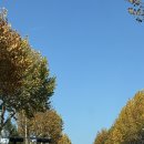 신갈마로141번길 이미지