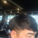 트레보헤어 이미지