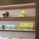 노티드제주디티