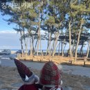 장사리카페 | 영덕 남정면 장사해수욕장 멋진 카페 장사리카페 내돈내산