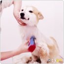 소울도기 이미지