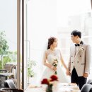 더노아하우스 이미지
