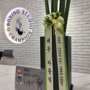 박종팔복싱체육관 이미지