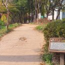 용문메디칼빌딩 이미지