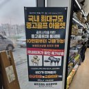 826 | 포틴 TC826 아이언 보상교환 김포골프샵 후기