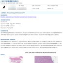 도곡치유동물병원 이미지