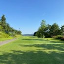 더아리아 이미지