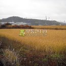 고경면-해선리-1