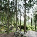 강과산이 아름다운 한옥펜션 이미지