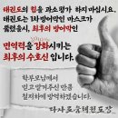 인더짐 유아 태권도 이미지