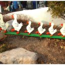 성산교회 앞 버스정류장 이미지