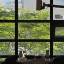 하울살롱 상무점