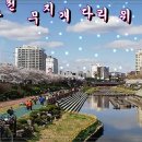 색동다리 이미지