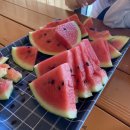 경북 경주 키즈펜션 당일치기 캠크닉 목조글램핑 가성비갑 그리다펜션