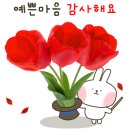 1974년 4곡 이미지