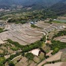 사포마을 이미지