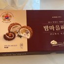 밤마을 이미지