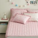 아이리스 이미지