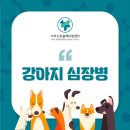 사상동물병원 이미지