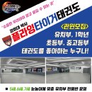 플라잉타이거태권도 네이버블로그