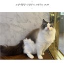 남구-045 이미지