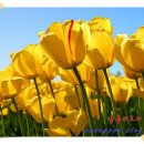 비젼센타 이미지