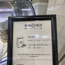 강남 신세계 스위트파크 이장우 호두과자 부창제과 솔직후기! 내돈내산