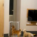 반디빌리지 이미지