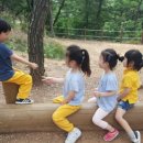 비호동산 유아숲체험원 이미지