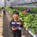 김주원농장 이미지