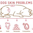 삼성약국 이미지