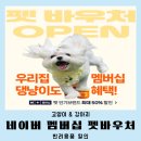 현대 강아지＆고양이 | [공지] 네이버 펫바우처 모르면손해 고양이 강아지용품 저렴하게