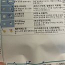 어느멋진날에1 | 어느 멋진 날에🎶