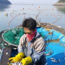 부강수산 이미지