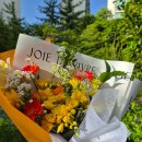 돌마로486번길 | 분당 가성비좋은 감성 꽃다발 서현동 꽃집 아그네스