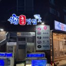 싱싱촘맛집 | [제주맛집/함덕맛집]제주에서 만난 인생 한치회 내돈내산 후기 ‘싱싱촘맛집’