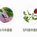 비오프로젝트 이미지